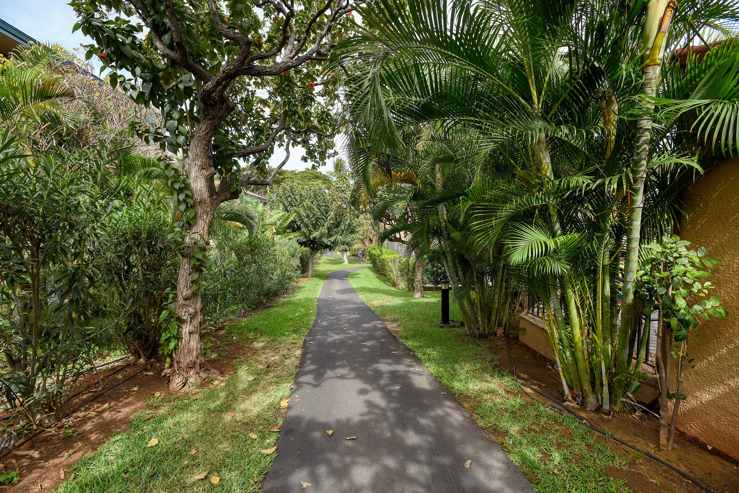 Condo in Kihei · ★4.8 · 2 bedrooms · 4 beds · 2 baths - Image 43
