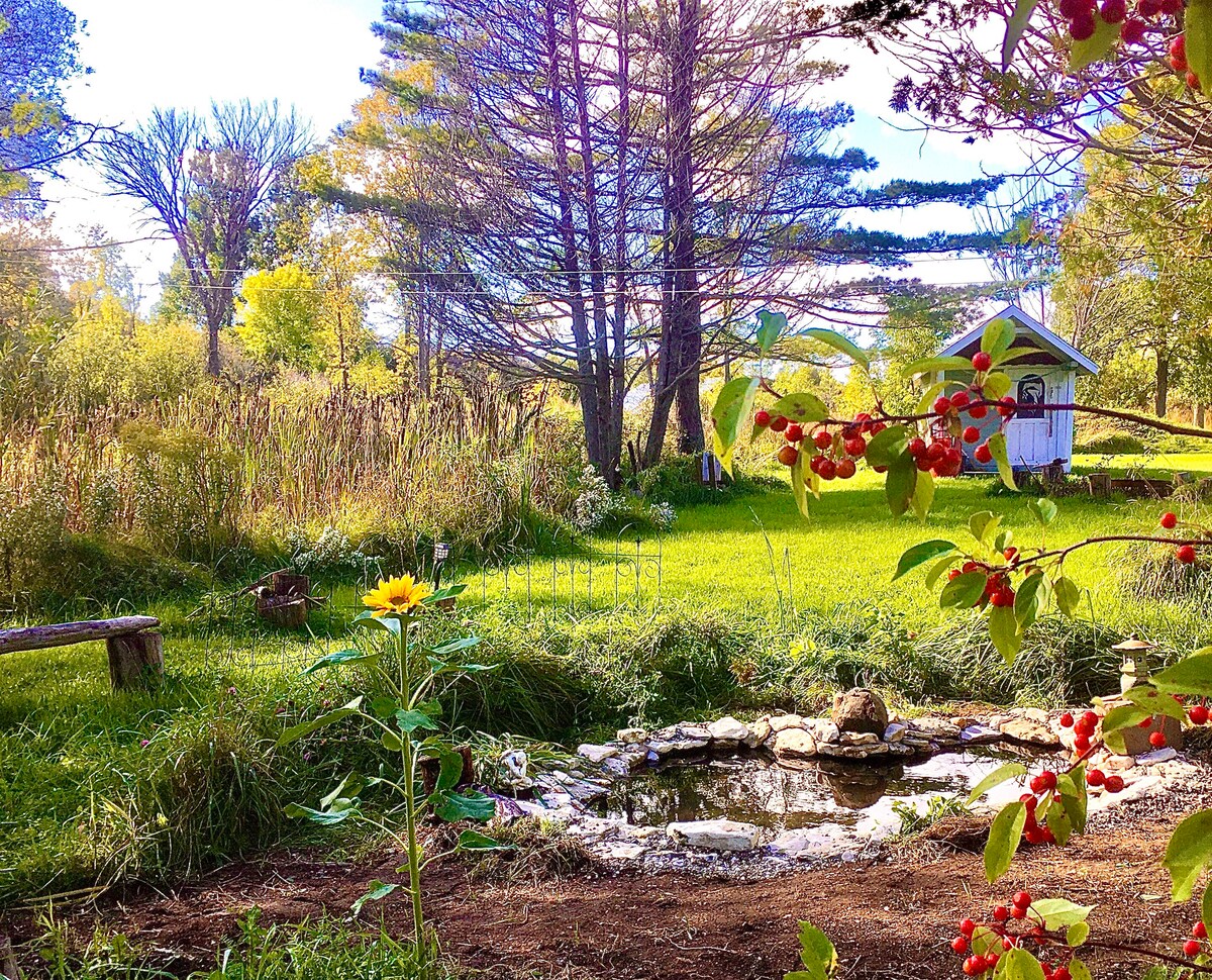 A serene outdoor scene features a small pond surrounded by stones, with a vibrant sunflower in the foreground. Lush green grass and trees provide a natural backdrop, while a quaint shed is visible in the distance. Red berries add a pop of color to the landscape.