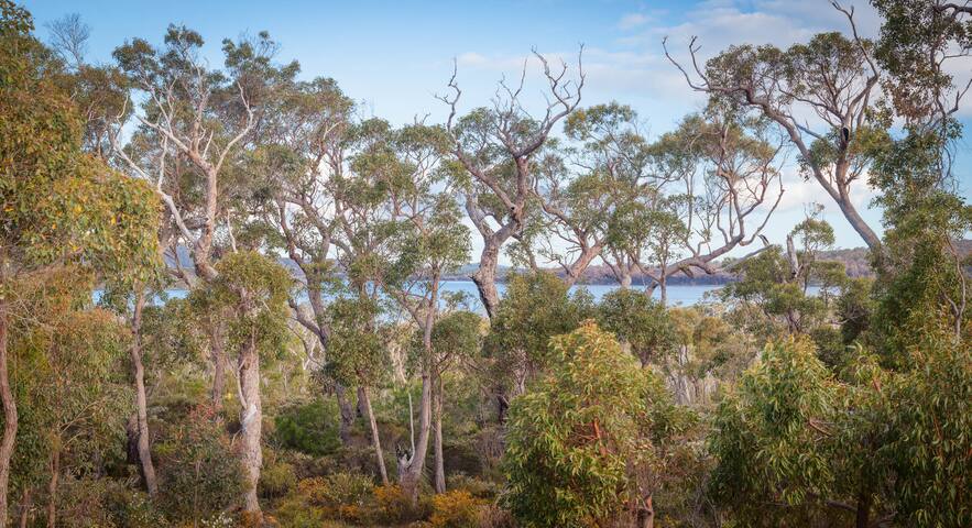 Chirriger on Inlet – Private Properties gallery image 5