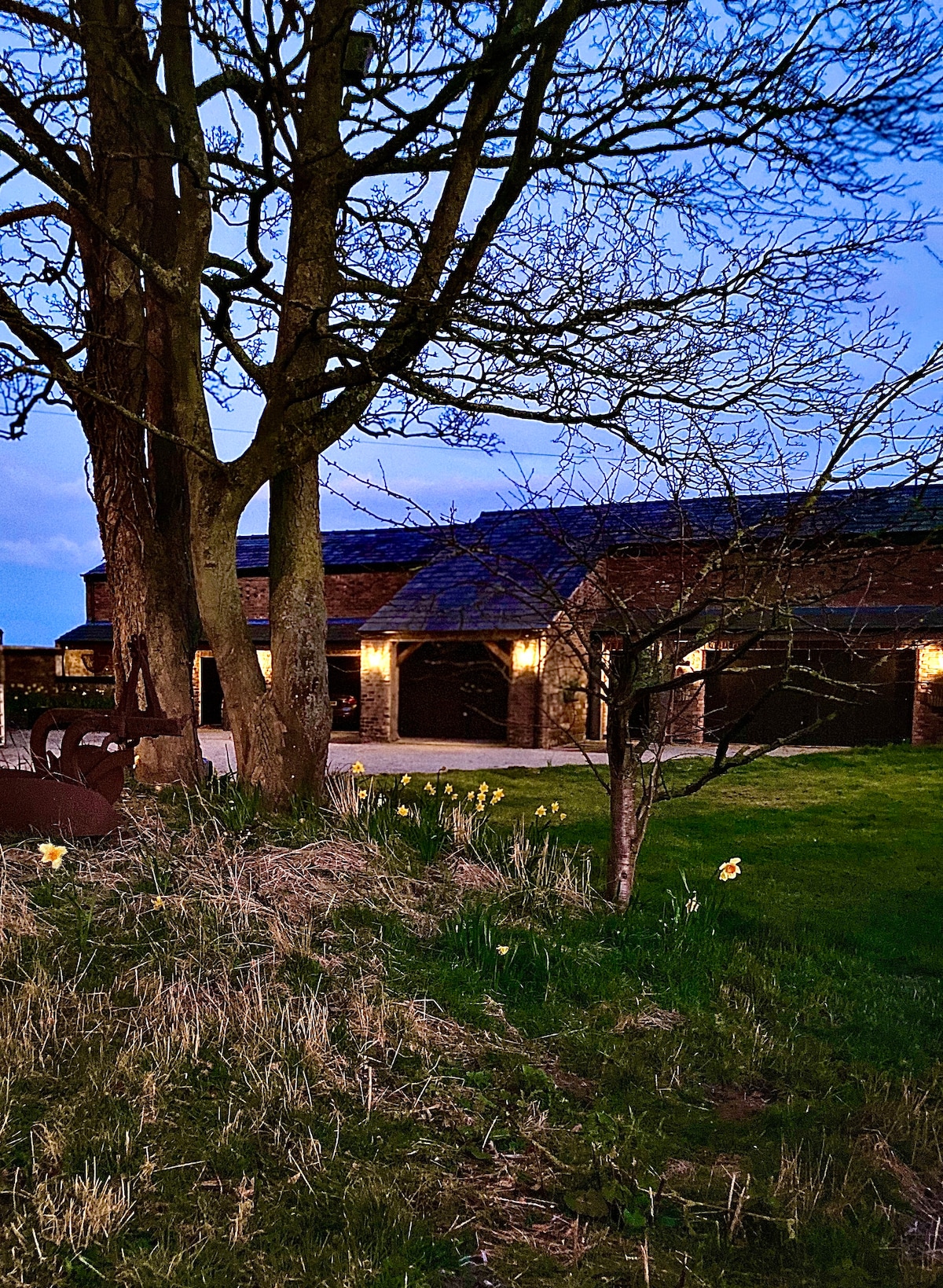 The exterior of the accommodation is captured at dusk, showcasing a blend of traditional and modern architectural features. Soft lighting highlights the structure, while nearby trees and daffodils frame the scene, creating an inviting atmosphere amidst the lush greenery.
