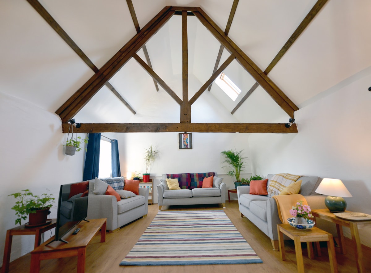 Всекидневната, включително единичен разтегателен диван.