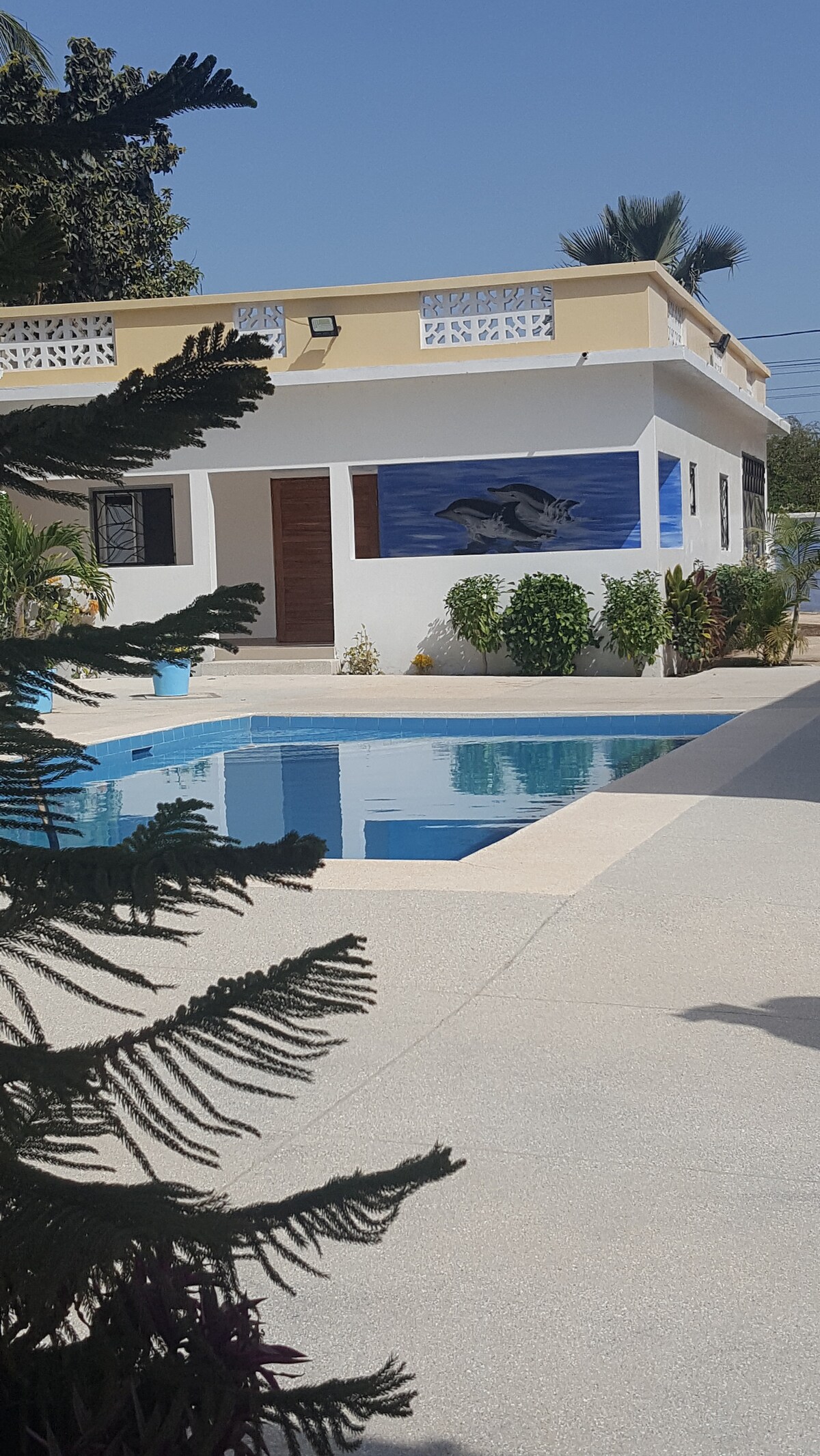 A clear view of a well-maintained pool surrounded by lush greenery. The residence is visible in the background, featuring a colorful dolphin mural. A spacious patio area with a smooth surface complements the inviting outdoor space under a bright blue sky.