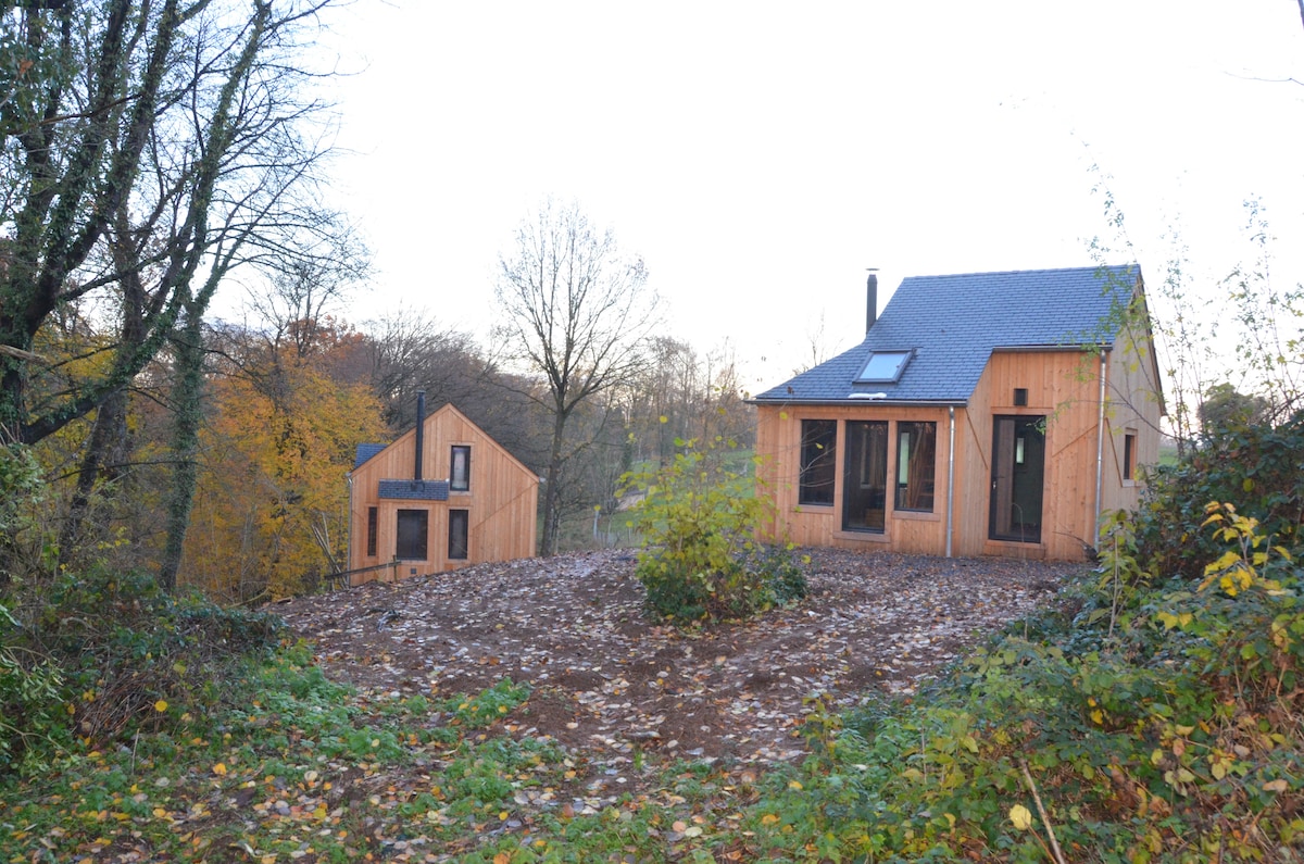 Two wooden cabins are set among the trees, displaying a harmonious integration with the surrounding nature. One cabin features large windows, while the other is nearby with a more compact design. The ground is covered in fallen leaves, enhancing the tranquil setting.