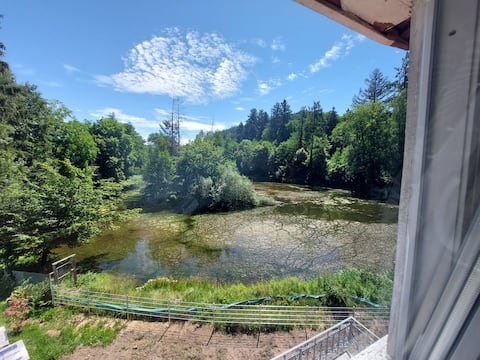 Popular Airbnb listing: The lake house (top floor) in Lahr/Schwarzwald
