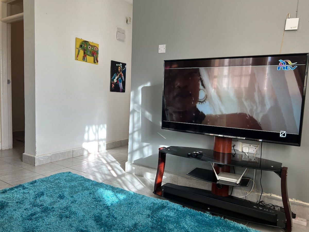 A living area is highlighted by a large television on a dark wooden stand. A vibrant blue rug covers the floor, adding color to the space. Sunlight creates patterns on the wall while a cozy atmosphere is suggested by the muted decor.