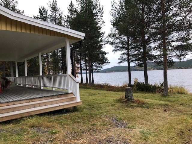 A spacious porch extends along the front of the cabin, offering unobstructed views of the calm water. Surrounding evergreen trees provide a natural setting, and the grassy area leads gently to the water's edge, enhancing the serene atmosphere.