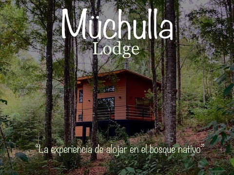 Successful Airbnb property: Müchulla Lodge, Panguipulli in Región De Los Ríos