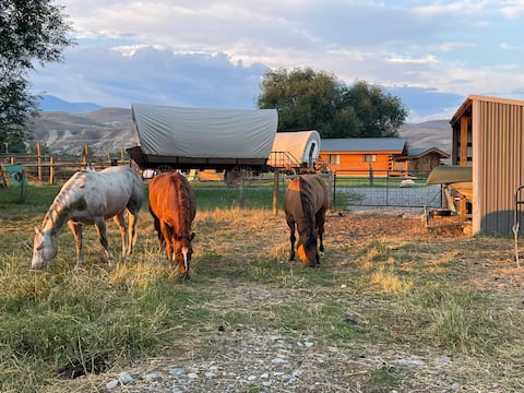 Chisholm “Conestoga” Wagon
