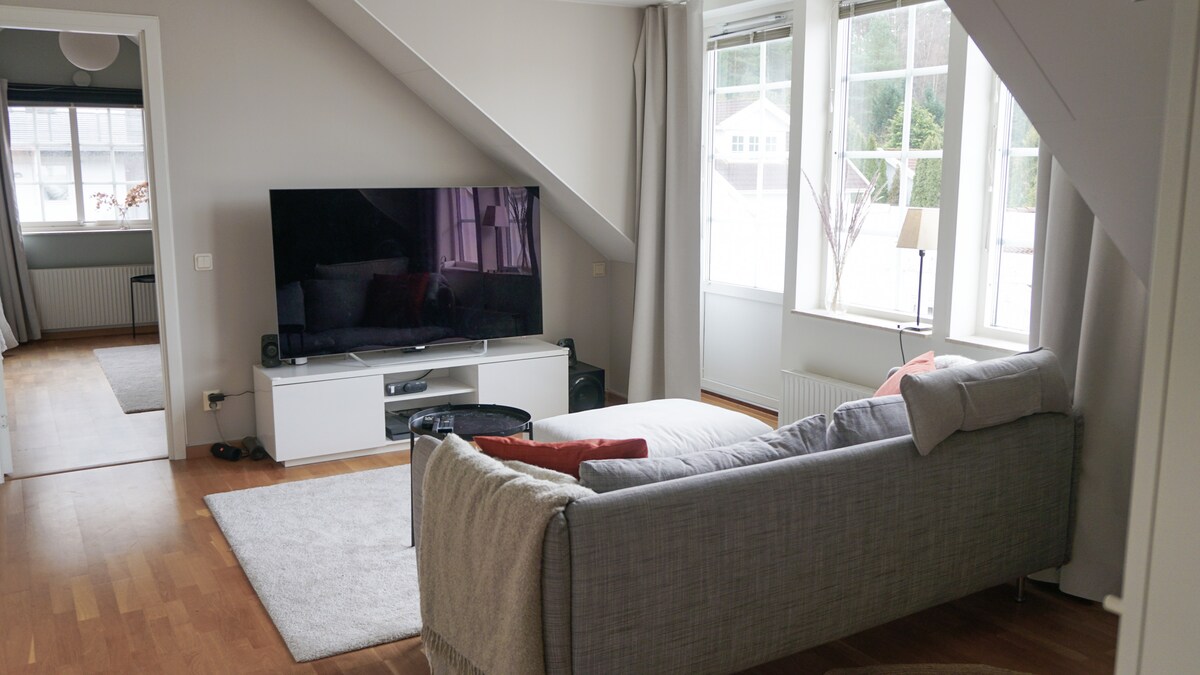 ห้องนั่งเล่น/ห้องนั่งเล่นชั้นบน คุณสามารถนอนบนโซฟาแทนที่จะนอนบนที่นอนปูพื้นได้หากต้องการ