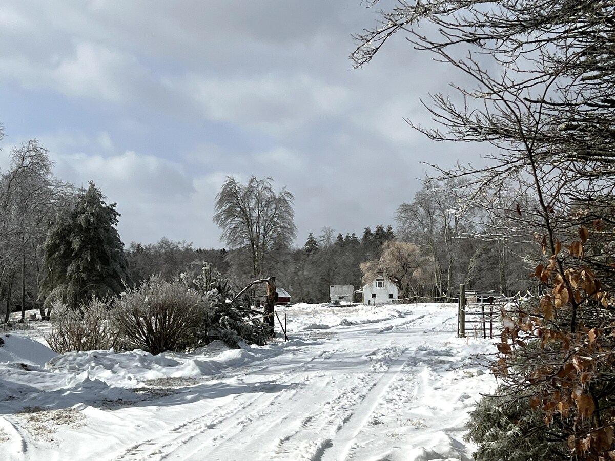 A snowy landscape features a winding road leading to a farmhouse surrounded by frost-covered trees. The house, partially obscured by the wintry scenery, is set against a backdrop of a cloudy sky. Snow blankets the ground, creating a serene atmosphere.