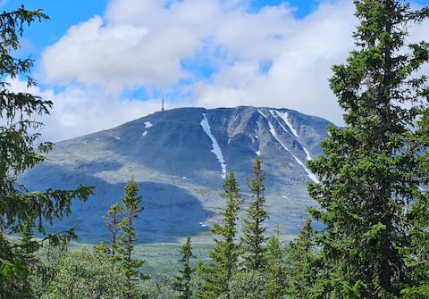 Top performing Airbnb: Great apartment, ski in/out, view to Gaustatoppen in Tinn
