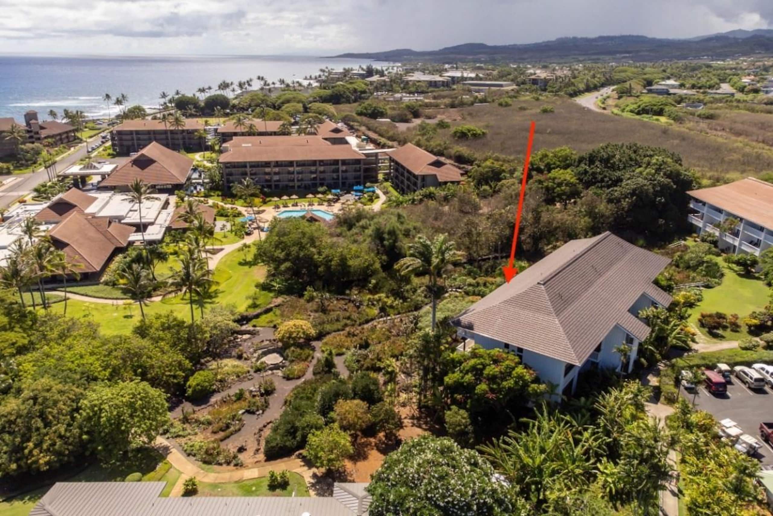 Your Aloha Home, unit 301 on Kauai's sunny side - Photo 20