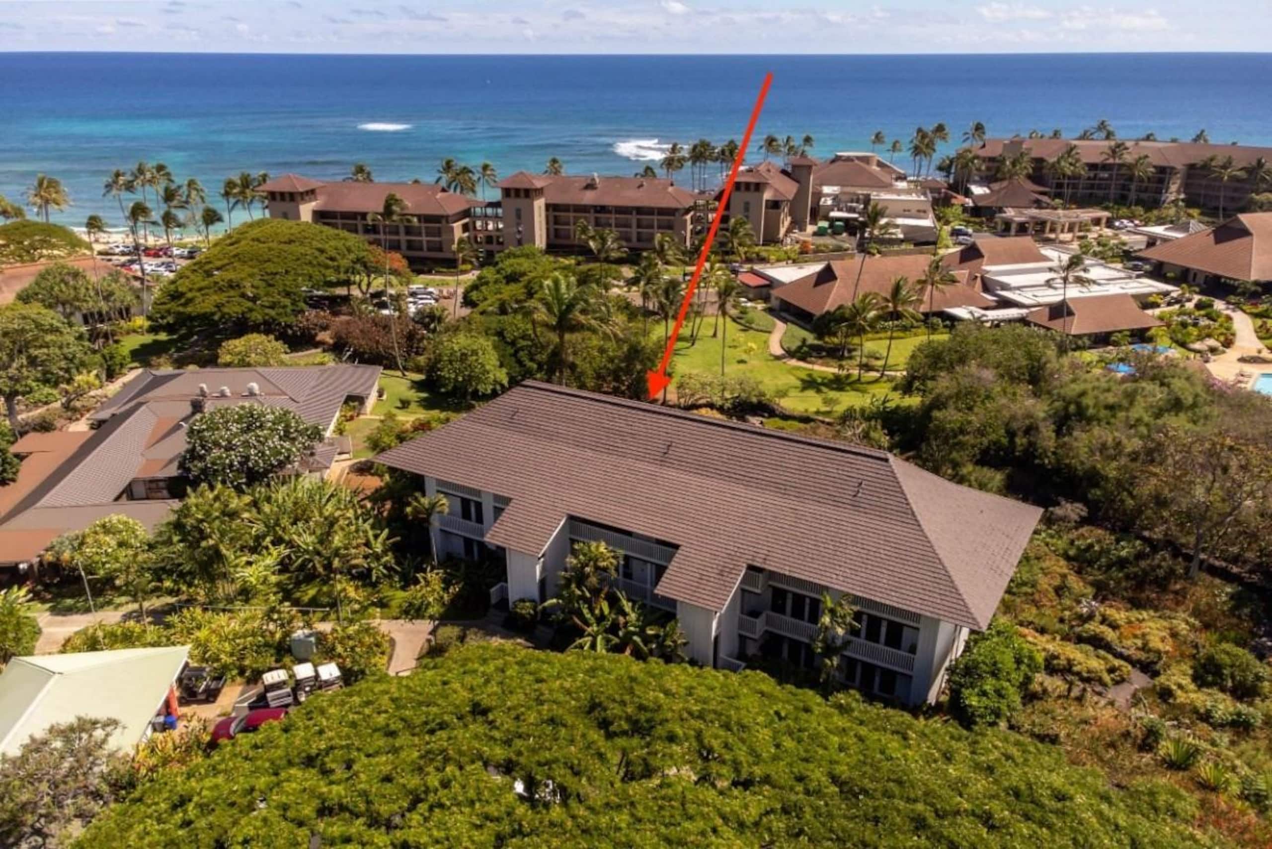 Your Aloha Home, unit 301 on Kauai's sunny side - Photo 19
