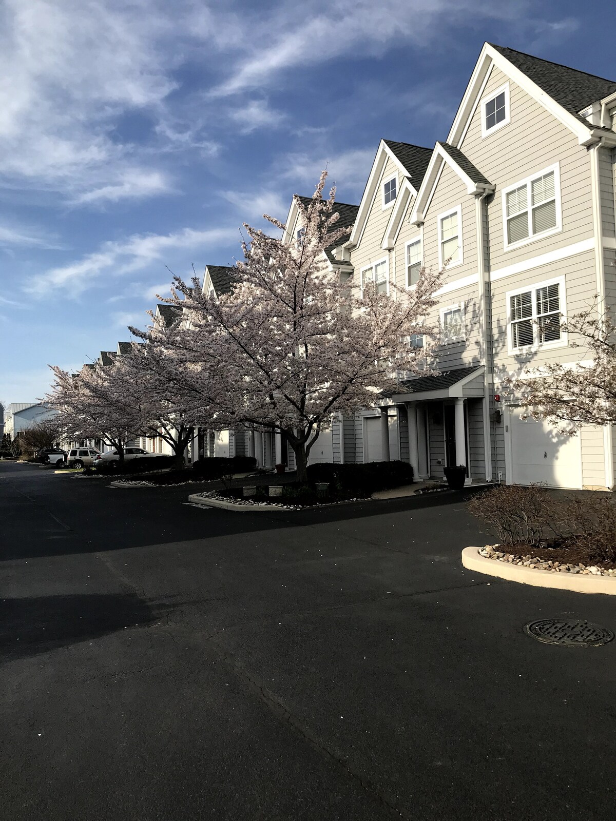 4 Bedroom/3.5 Bath Pool Walk to Shops&Restaurants Houses for Rent in Rehoboth Beach, Delaware