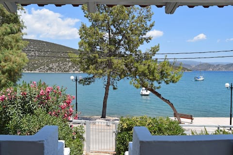 Ermioni Seaside House