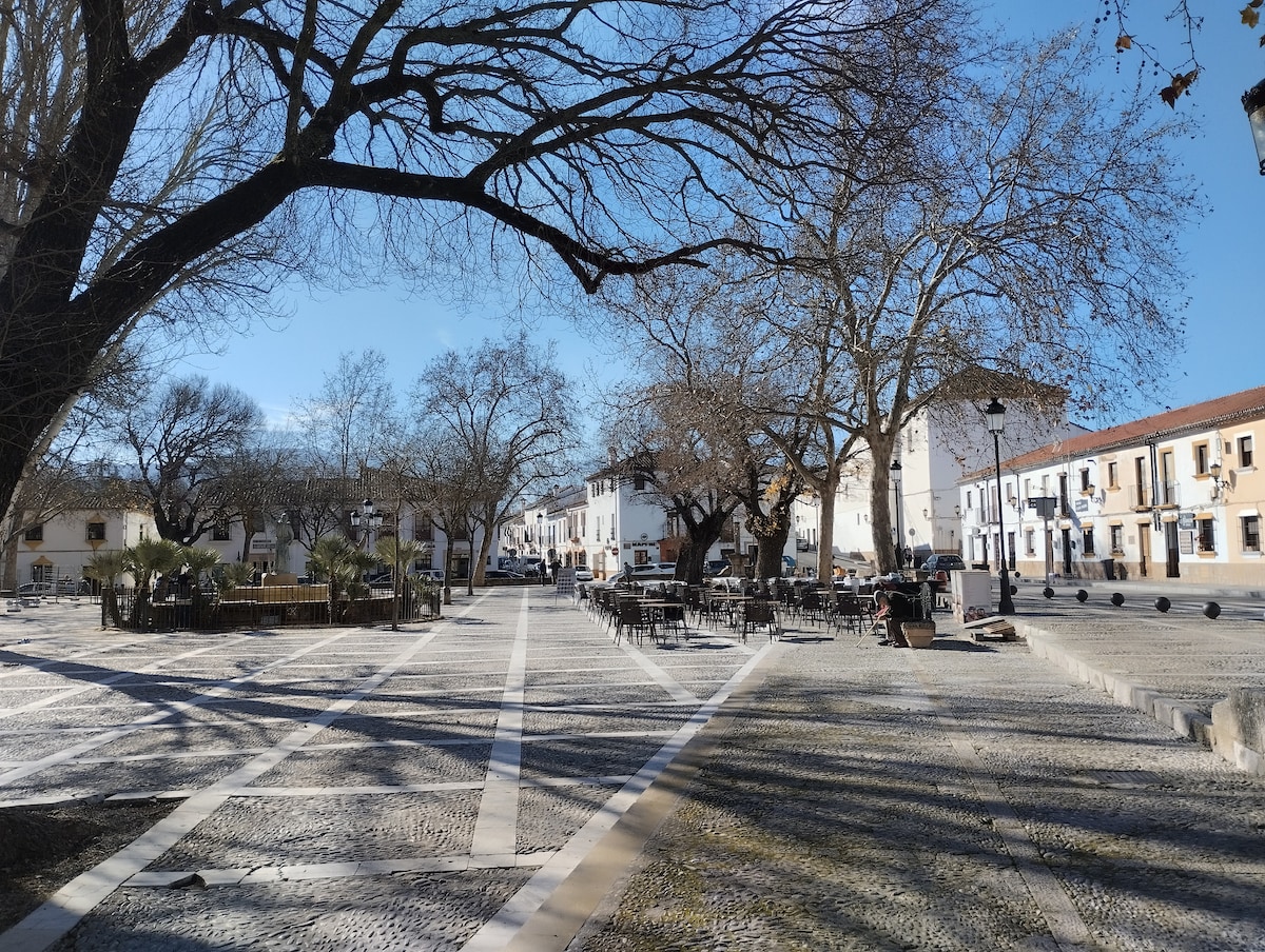 A spacious plaza is depicted, surrounded by trees with bare branches. Stone pathways intersect, leading through a tranquil area with several outdoor tables and chairs positioned under the clear blue sky. Buildings with white façades are visible in the background.
