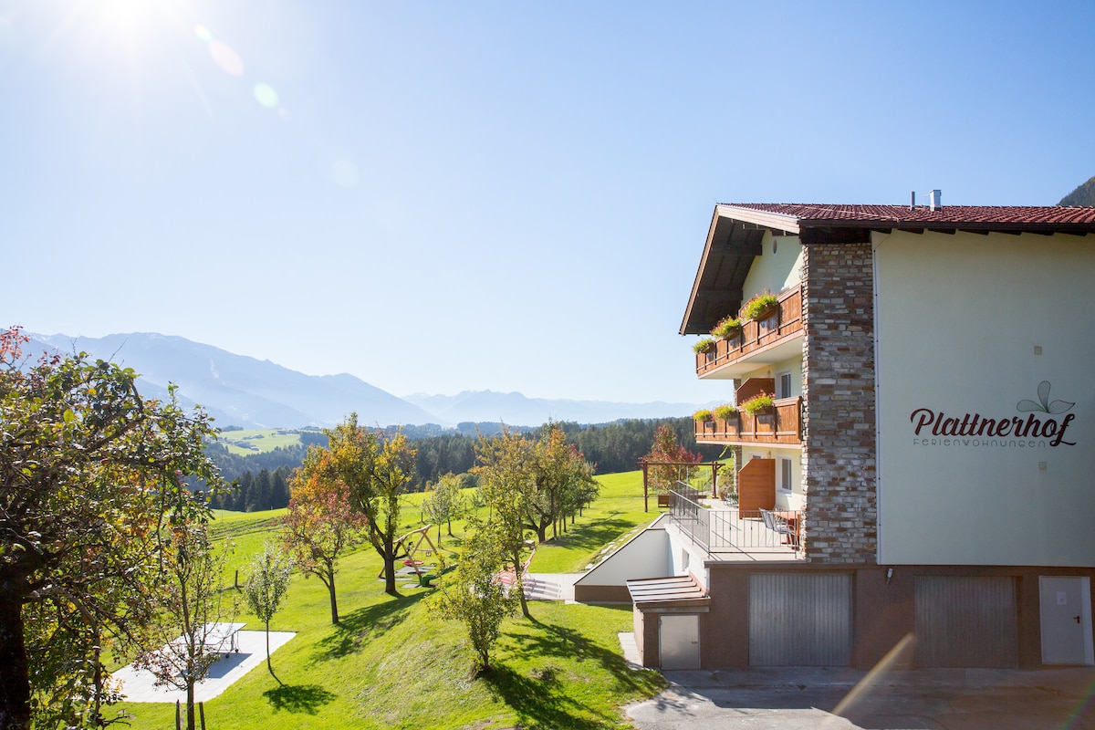 A three-story building with a stone and wood façade is surrounded by green fields and trees. Flower pots adorn the balconies, and distant mountains are visible under a clear blue sky.