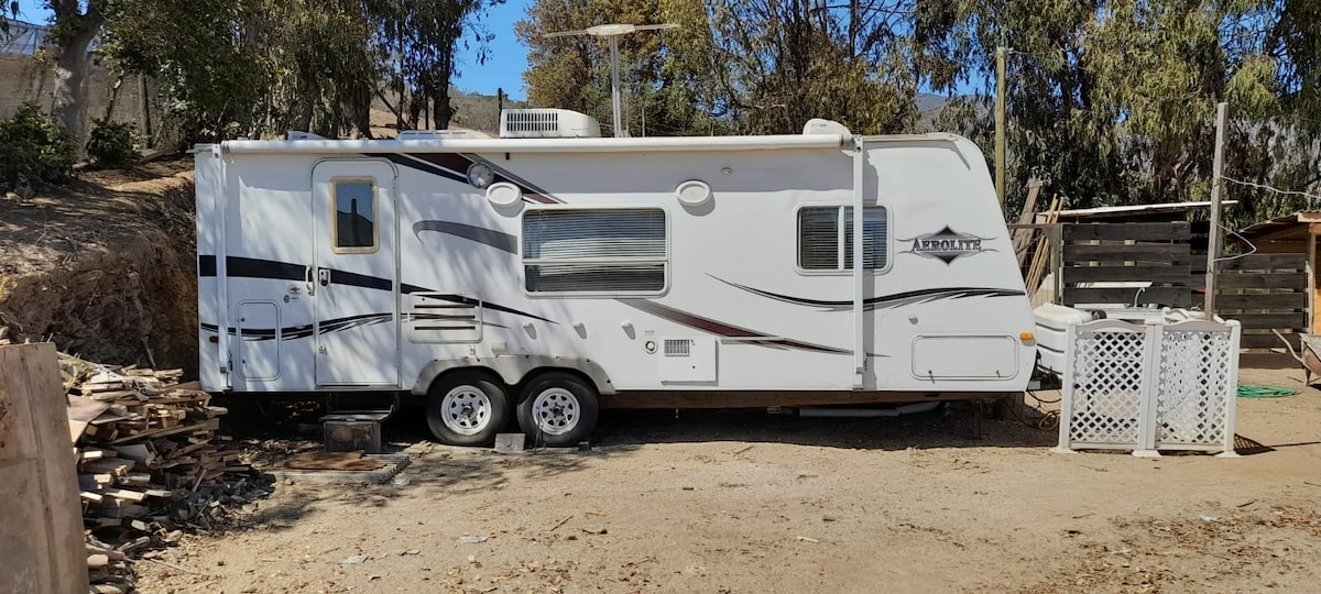 A travel trailer is positioned on a gravel surface, surrounded by scattered trees and logs. The trailer features a streamlined design with a dual-axle for stability and includes large windows that allow for ample natural light.