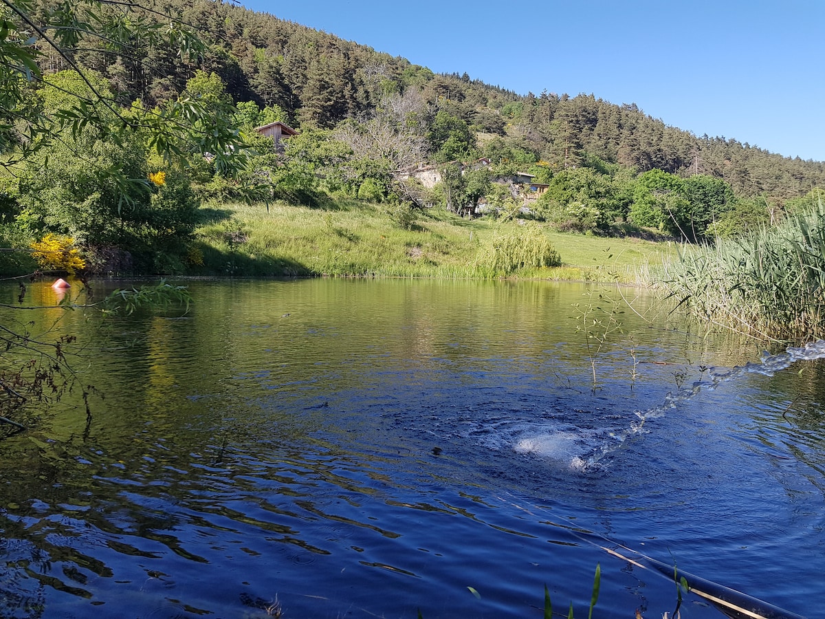 A serene pond is surrounded by lush greenery, with gentle ripples on the water's surface. Verdant trees and grasses frame the scene, providing a natural backdrop. The clear blue sky reflects off the water, enhancing the tranquil atmosphere of this secluded area.