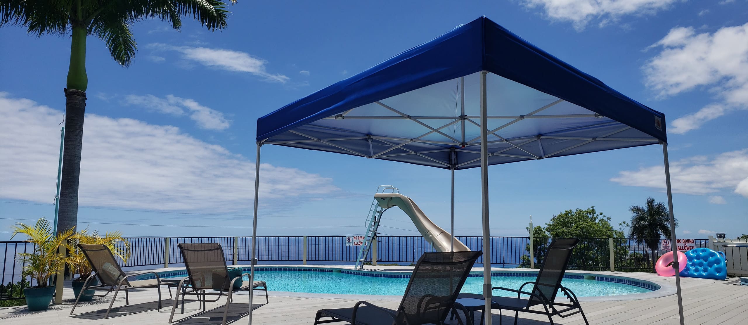 Guesthouse in Kailua-Kona · ★4.88 · 1 bedroom · 2 beds · 1 bath - Image 11