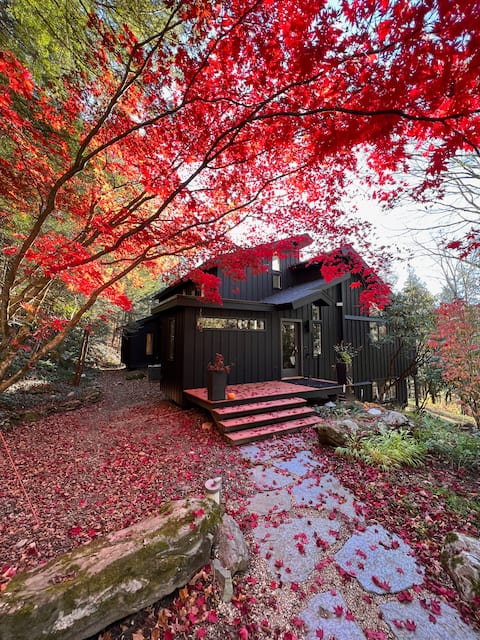 "Hemlock Shadow" near Tanglewood on Six Acres