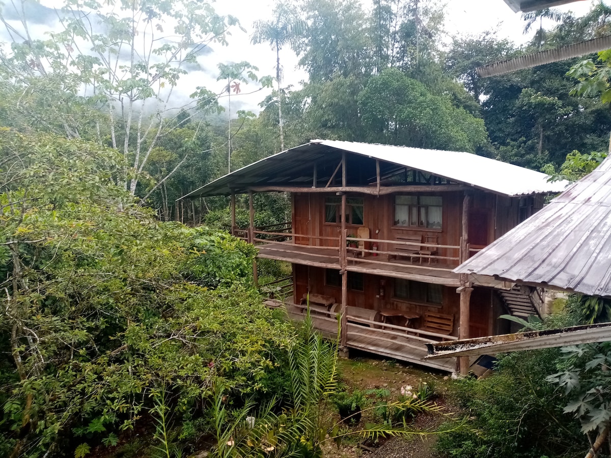 A wooden house is situated amid lush greenery, surrounded by diverse plants and trees. The open-concept design features a large covered porch with seating areas, while the two-story structure highlights large windows allowing natural light to enter, enhancing the connection with the surrounding nature.
