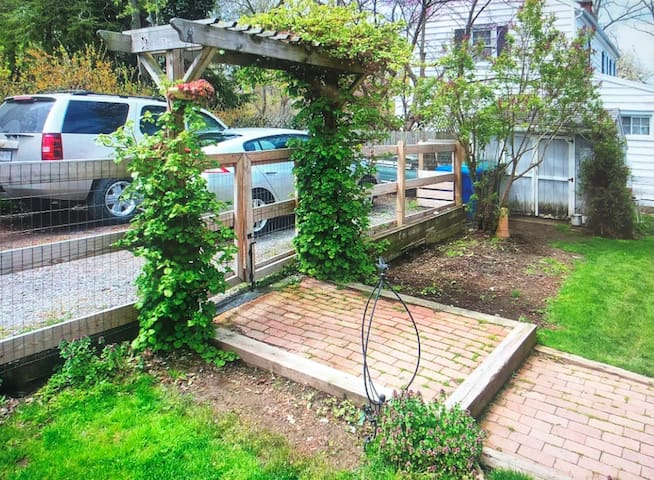 Welcome to Beach Ave! gallery image 2