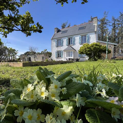 The house in the moor
