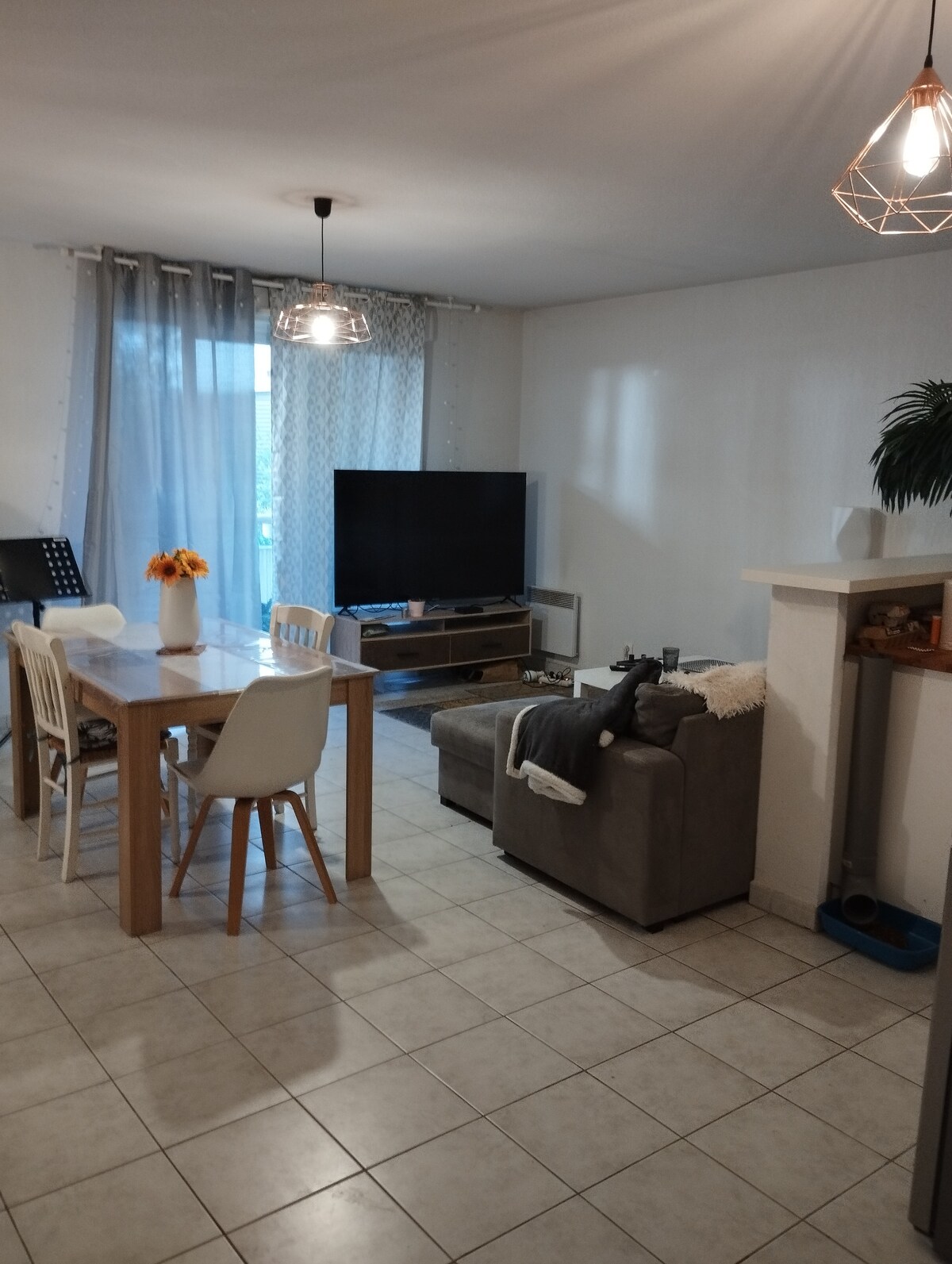 A functional living area features a wooden dining table surrounded by chairs. A cozy gray sofa sits adjacent to a media unit, where a large television is displayed. Natural light streams in through the curtain-covered window, enhancing the room's open feel.