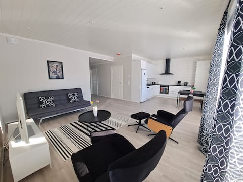ALEX-2023 Brand new apartment, bright, handsome with sauna