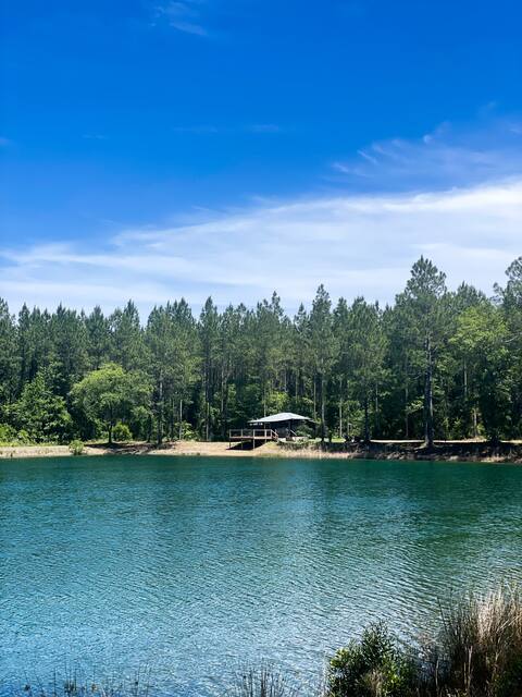 81 Pines 1-The Cabin