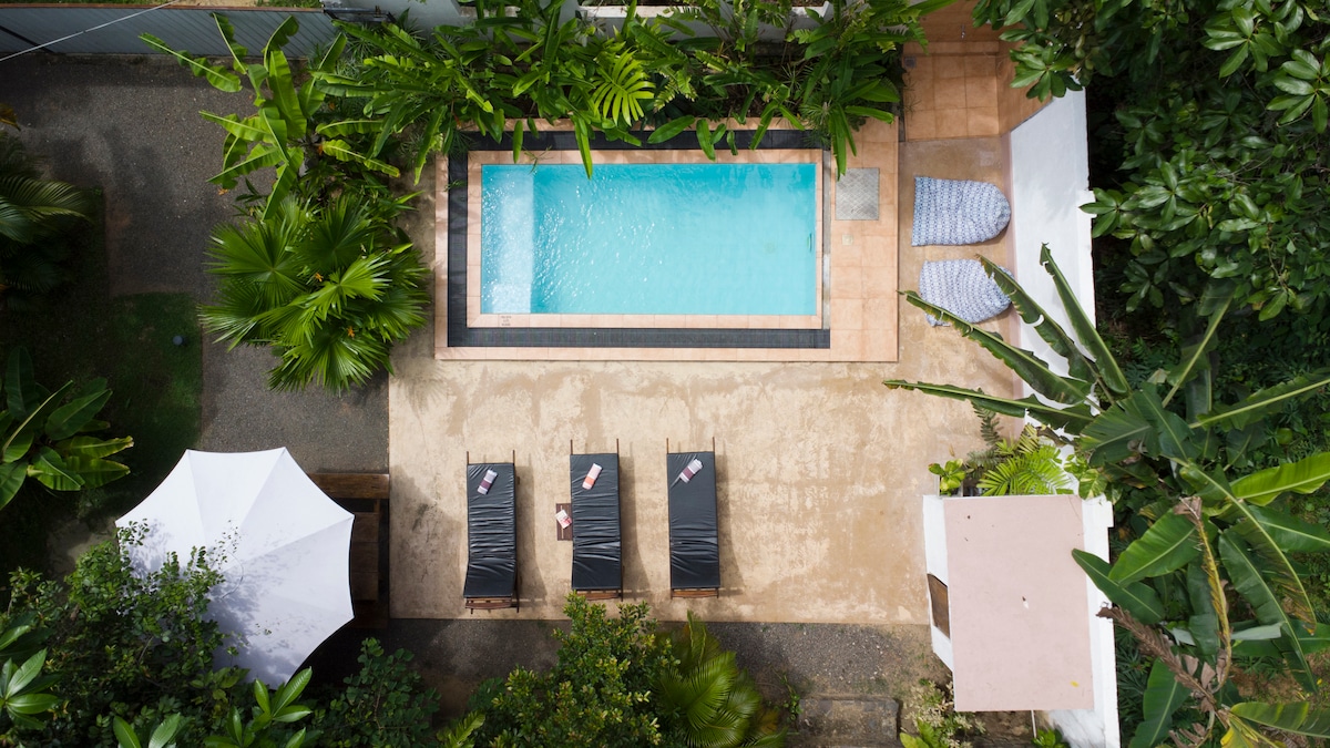 An aerial view captures a shared plunge pool surrounded by lush greenery and paved areas. Several lounge chairs are positioned beside the pool, offering a space to relax. A white umbrella provides shade, enhancing the tranquil garden atmosphere.