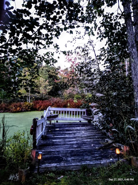 Heron's Hide-Away