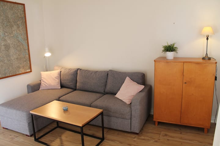 Divano letto (140 cm) e comodino con letto singolo. 