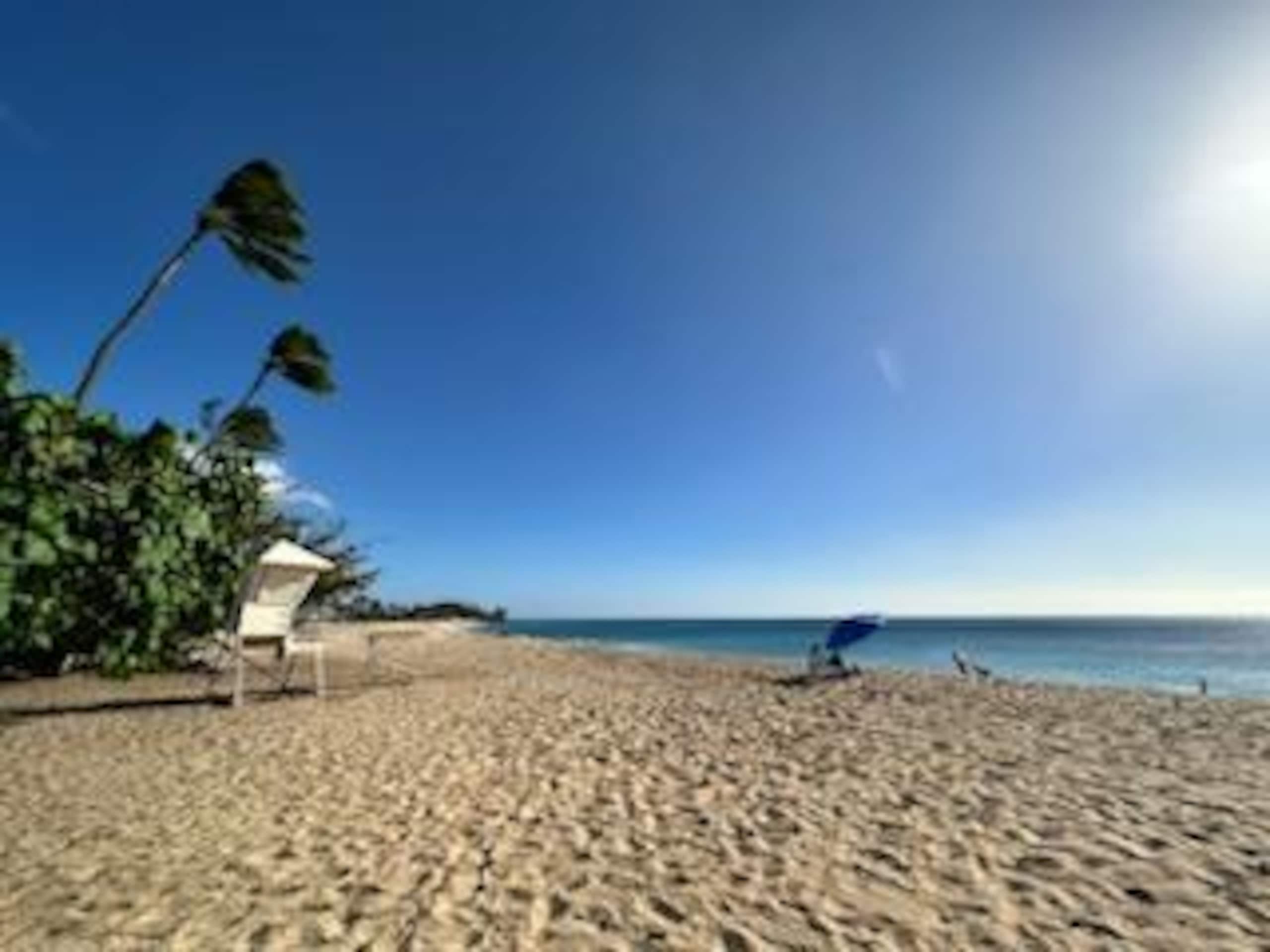 Home in Waianae · ★4.99 · 3 bedrooms · 6 beds · 2 private baths - Image 112