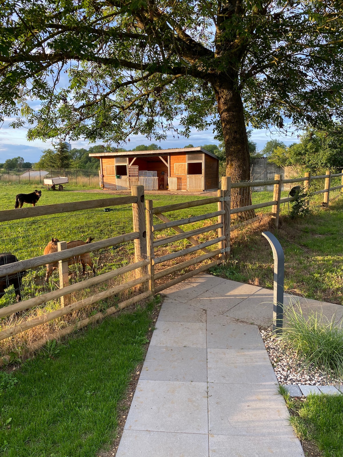 A wooden structure with a porch is visible in the distance, surrounded by green grass and livestock. A stone pathway leads from the foreground towards the fence, offering a connection to the serene natural environment.