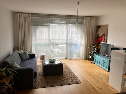 Top performing Airbnb: Couples vacation/business travelers in Hietzing
