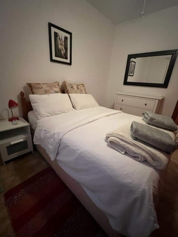 Chambre avec un lit queen size