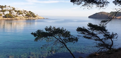 Successful Airbnb property: Caseta Mar i Sol in Torroella De Montgrí