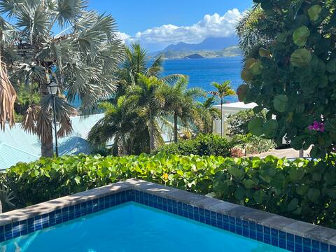 Ocean Song Frigate Bay 4 bed Villa on the Ocean