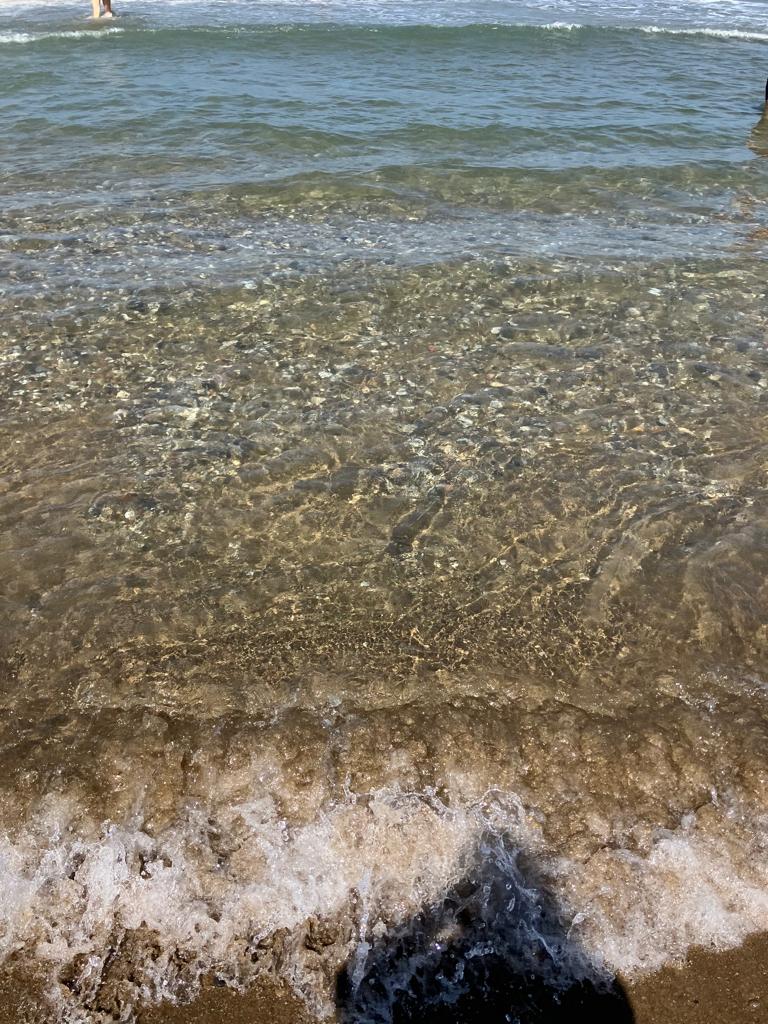 Annonce Airbnb populaire: San Vincenzo - Podere San Luigi à San Vincenzo