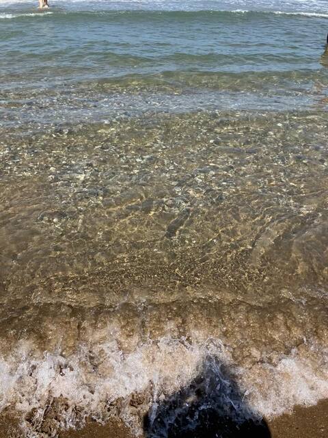 Annuncio Airbnb popolare: San Vincenzo - Podere San Luigi a San Vincenzo