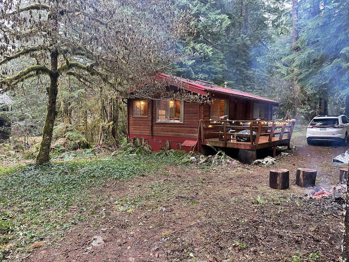 Cozy Cascade River Cabin Houses for Rent in Marblemount, Washington, United States Airbnb