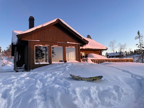 Modern cabin one hr from Oslo - with outdoor sauna