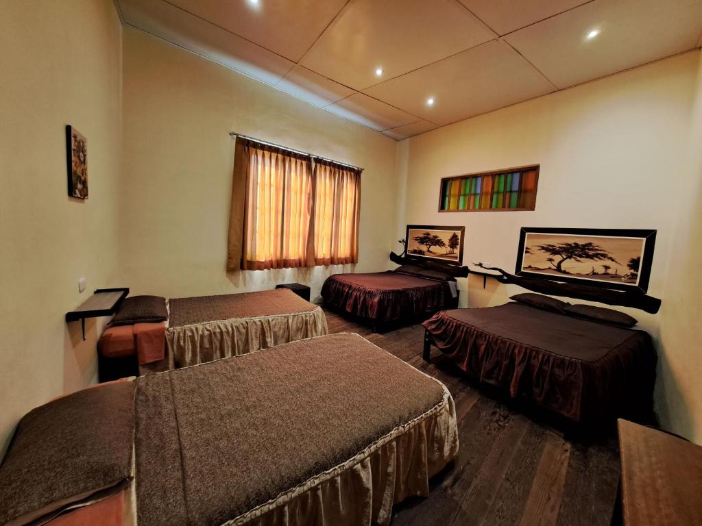 A spacious room features two large beds and two medium beds, all adorned with dark bedspreads. Natural light filters through a window with sheer curtains, illuminating the wooden floor. Artwork is displayed on the walls, adding character to the space.