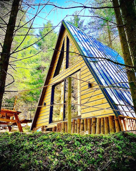 A-frame chalet in the middle of the forest!