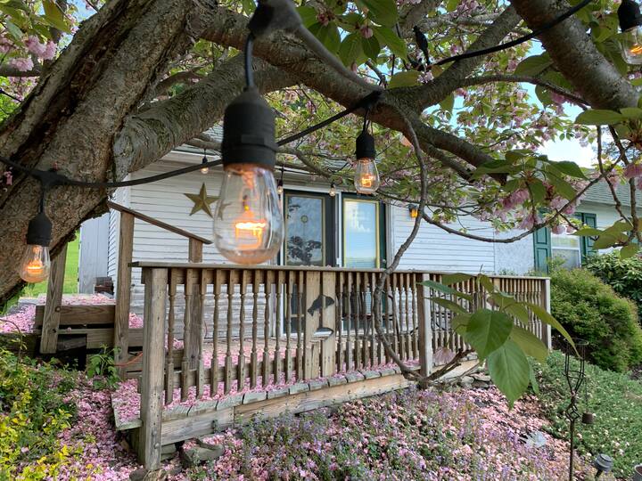 Top 10 Airbnb Vacation Rentals In Harveys Lake, Pennsylvania Updated