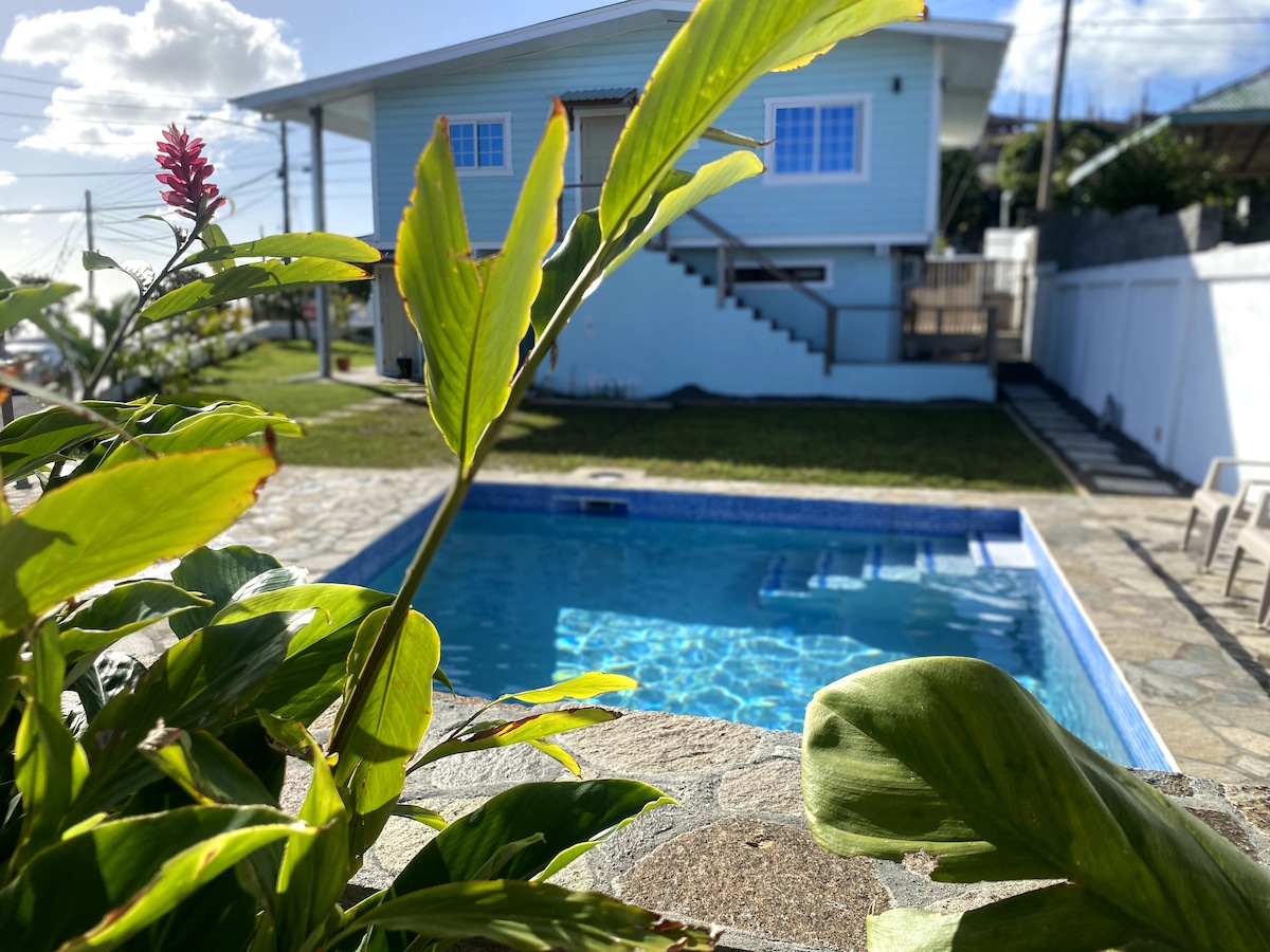 A private plunge pool is visible, surrounded by lush greenery. The pool's water glistens under the sunlight. In the background, a light blue house is positioned, and a staircase leads to its entrance. A well-maintained garden area complements the outdoor setting.