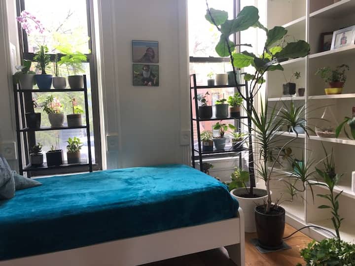 Sunny 4bd Park Slope Brownstone - Brooklyn, NY