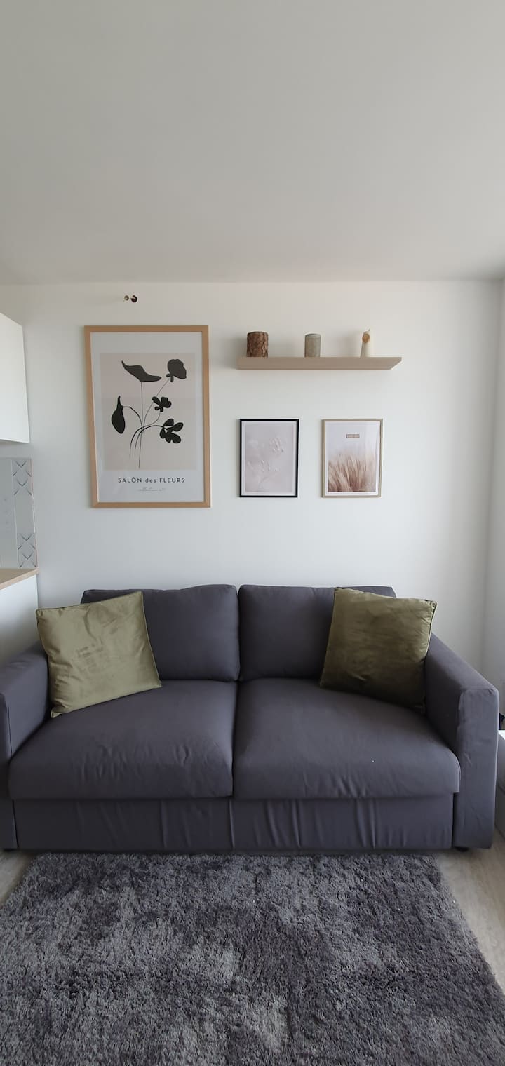 living room with 2-seater sofa bed